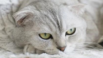 唐山伴游，定制QQ：3494206190微信：act1322